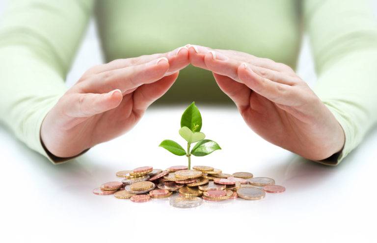 Growing a virtual assistant business allows you to start small and scale just as this picture of coins with a plant growing out of it and hands covering it show nurturing that growth.