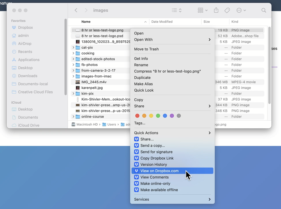 Screengrab of Dropbox Image Right-click menu.